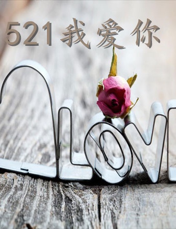 521图片唯美又好看的文字配图