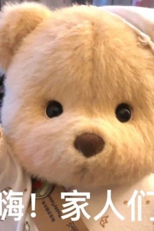 Lena bear expression pack