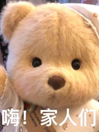 Lena bear expression pack