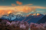 Snow mountains flowers streams lakes desktop wallpaper pictures