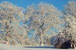 Winter snowy landscape desktop wallpaper