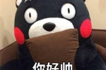 The latest version of Kumamon WeChat emoticon package pictures