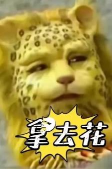 金钱豹表情包图片