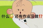 什么 还有作业没做