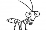 Insect mantis simple drawing picture
