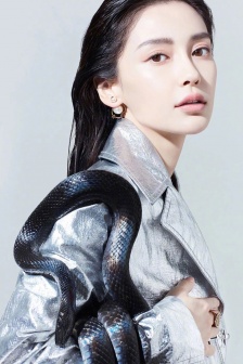 angelababy cool and charming photo mobile wallpaper