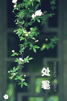 Fresh summer mobile wallpaper pictures