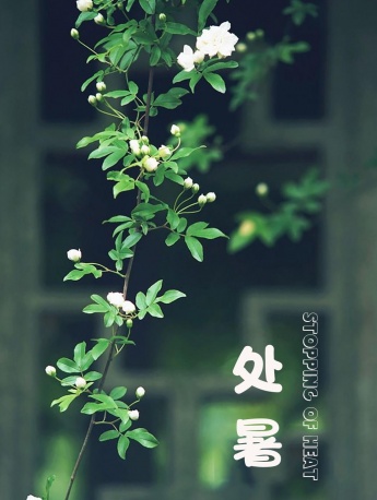 Fresh summer mobile wallpaper pictures