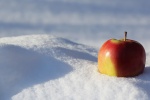 Christmas Eve Apple Pictures Desktop Wallpaper