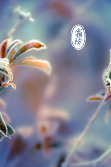 Beautiful HD pictures of frost