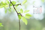 July 2021 summer grass green leaves eye protection desktop calendar wallpaper