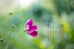 Eye-protecting green plant calendar wallpaper for January 2022