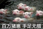 Collection of cute pig related emoticons