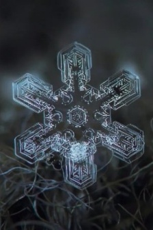 What would a snowflake look like if it were magnified 100 times?