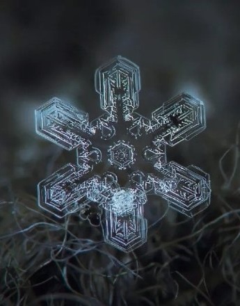 雪花放大100倍會是什麼樣子