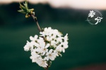 Spring Equinox Beautiful Flowers Pictures Desktop Wallpaper