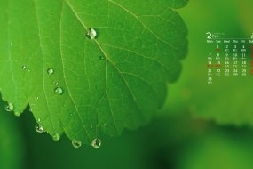 February 2022 green plant eye protection HD calendar wallpaper