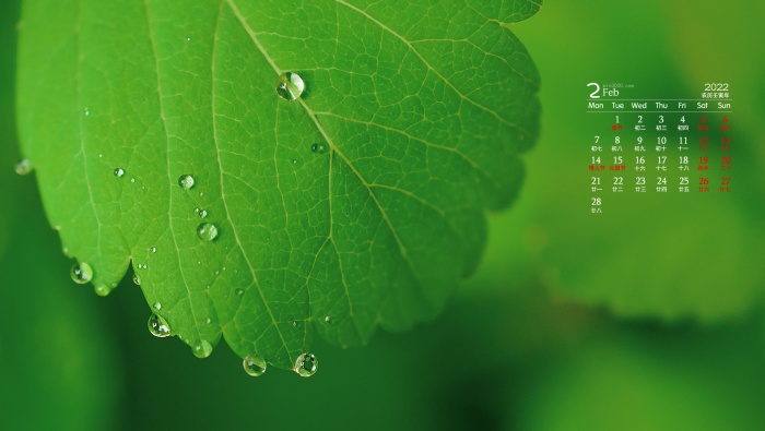 February 2022 green plant eye protection HD calendar wallpaper