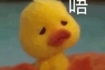 Summary of little yellow duck emoticons
