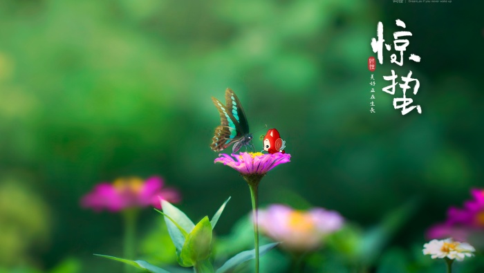 Fresh scenery wallpaper of Jingzhe solar term