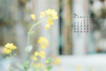 July 2021 summer grass green leaves eye protection desktop calendar wallpaper