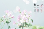 2022年4月小清新護眼日曆壁紙