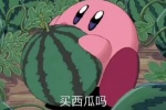 买西瓜吗
不仅能买到一个西瓜
还能得到一个像我这样的小傻瓜