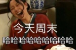 今天周末 哈哈哈哈哈哈哈哈哈