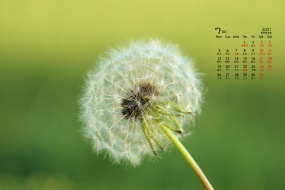 July 2021 dandelions flying in the sky desktop calendar wallpaper