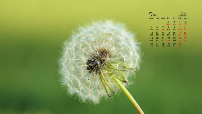 July 2021 dandelions flying in the sky desktop calendar wallpaper