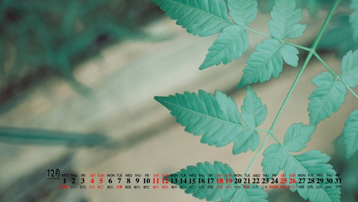 December 2021 eye-protecting green desktop calendar wallpaper