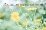 April 2021 natural scenery eye protection desktop calendar wallpaper