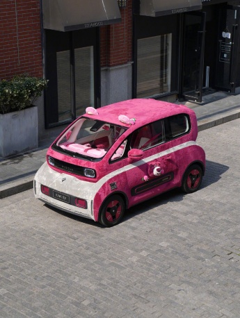 KiWi Strawberry Bear joint car physical picture