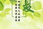 二十四節氣立夏手機壁紙圖片