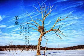 冬至節氣唯美雪景高清桌麵壁紙