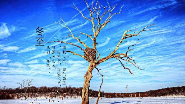 冬至節氣唯美雪景高清桌麵壁紙