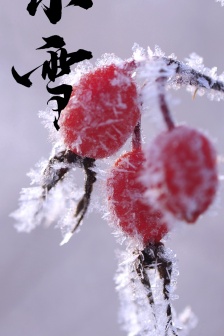 Twenty-four solar terms Xiaoxue mobile wallpaper pictures