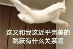 这又和我这近乎完美的跳跃有什么关系呢
