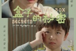 电影《盒子的秘密》海报图片