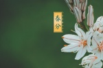 高清24节气春分图片桌面壁纸