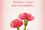 母亲节花朵唯美图片手机壁纸