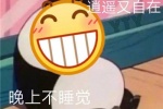 我是小肥宅，逍遥又自在，晚上不睡觉，白天起不来~