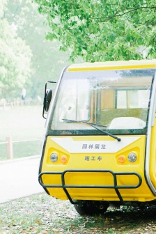 Green fresh scenery still life mobile wallpaper picture