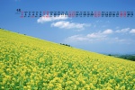 May 2022 fresh blue sky and green land scenery calendar wallpaper