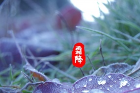 霜降唯美圖片高清桌麵壁紙