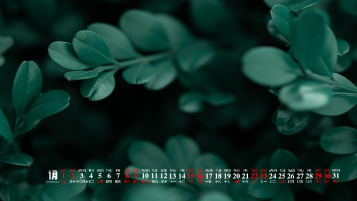 2022年1月保护视力的日历壁纸图片