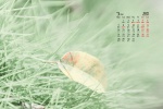 March 2022 green landscape nature desktop calendar wallpaper