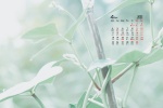 Simple and fresh desktop calendar wallpaper for April 2022