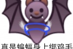 真是蝙蝠身上绑鸡毛，你当自己是个什么鸟