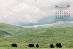 March 2022 Eye Protection Grassland Scenery Calendar Wallpaper Picture